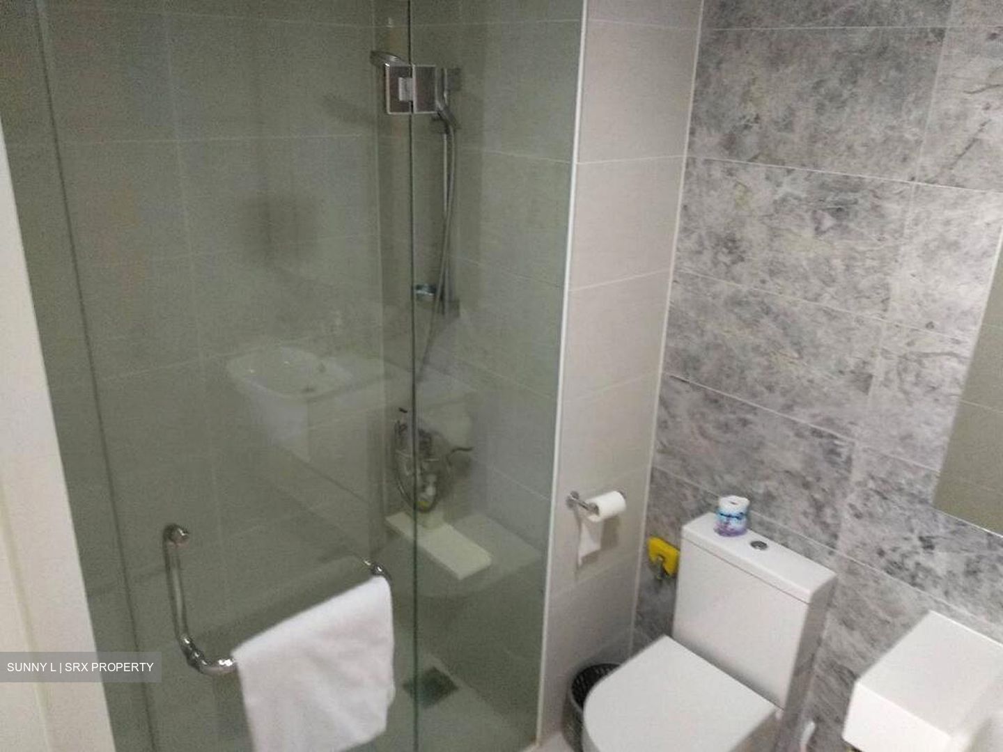 The Lakefront Residences (D22), Condominium #500806151